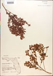 000018298-thumbnail.jpg