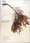 000018299-thumbnail.jpg