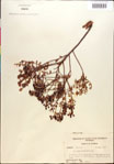 000018301-thumbnail.jpg
