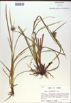 000018304-thumbnail.jpg