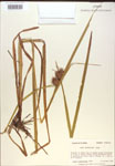 000018305-thumbnail.jpg