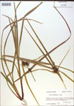 000018306-thumbnail.jpg