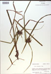 000018307-thumbnail.jpg