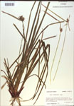 000018308-thumbnail.jpg