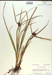 000018309-thumbnail.jpg
