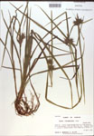 000018310-thumbnail.jpg
