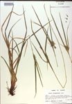 000018311-thumbnail.jpg