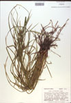 000018312-thumbnail.jpg