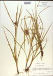 000018313-thumbnail.jpg