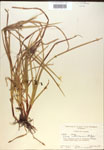 000018314-thumbnail.jpg