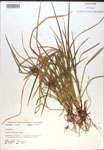 000018315-thumbnail.jpg