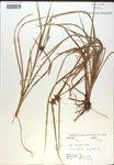000018316-thumbnail.jpg