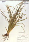 000018317-thumbnail.jpg