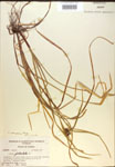 000018318-thumbnail.jpg