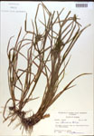 000018319-thumbnail.jpg