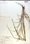 000018320-thumbnail.jpg