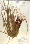 000018321-thumbnail.jpg