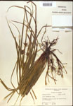 000018322-thumbnail.jpg