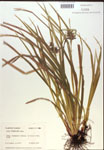 000018323-thumbnail.jpg