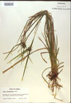 000018324-thumbnail.jpg