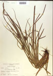 000018325-thumbnail.jpg