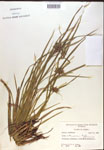 000018326-thumbnail.jpg