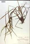 000018327-thumbnail.jpg