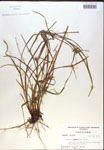000018328-thumbnail.jpg