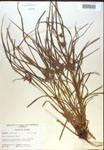 000018329-thumbnail.jpg