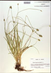 000018334-thumbnail.jpg