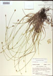 000018335-thumbnail.jpg