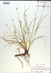 000018336-thumbnail.jpg
