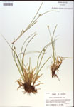 000018337-thumbnail.jpg