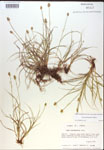 000018338-thumbnail.jpg