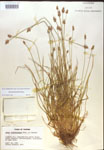 000018339-thumbnail.jpg