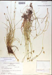 000018340-thumbnail.jpg