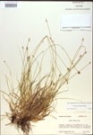 000018341-thumbnail.jpg