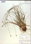 000018342-thumbnail.jpg