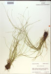 000018343-thumbnail.jpg