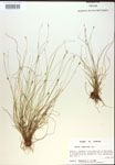 000018344-thumbnail.jpg