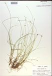 000018345-thumbnail.jpg