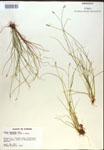 000018346-thumbnail.jpg