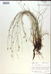 000018347-thumbnail.jpg