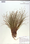 000018348-thumbnail.jpg