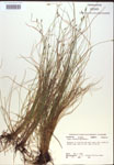 000018349-thumbnail.jpg