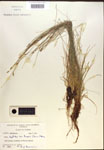 000018350-thumbnail.jpg