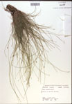 000018351-thumbnail.jpg
