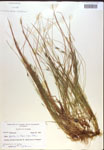 000018352-thumbnail.jpg