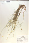 000018353-thumbnail.jpg