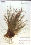000018354-thumbnail.jpg